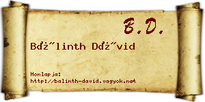 Bálinth Dávid névjegykártya